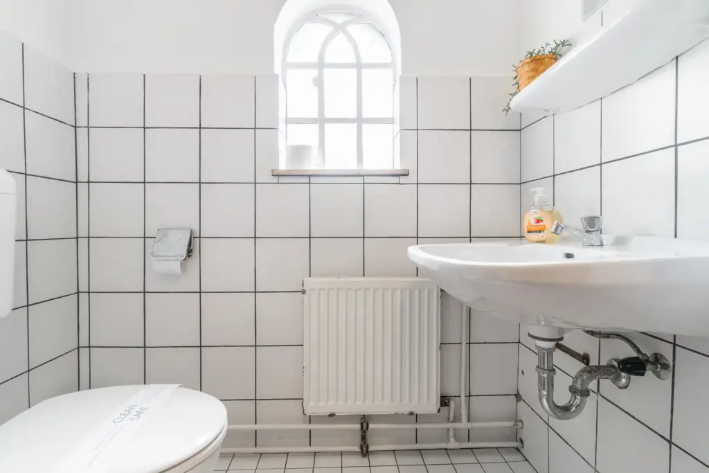 Gäste-WC, WC, Tageslicht, Fenster
